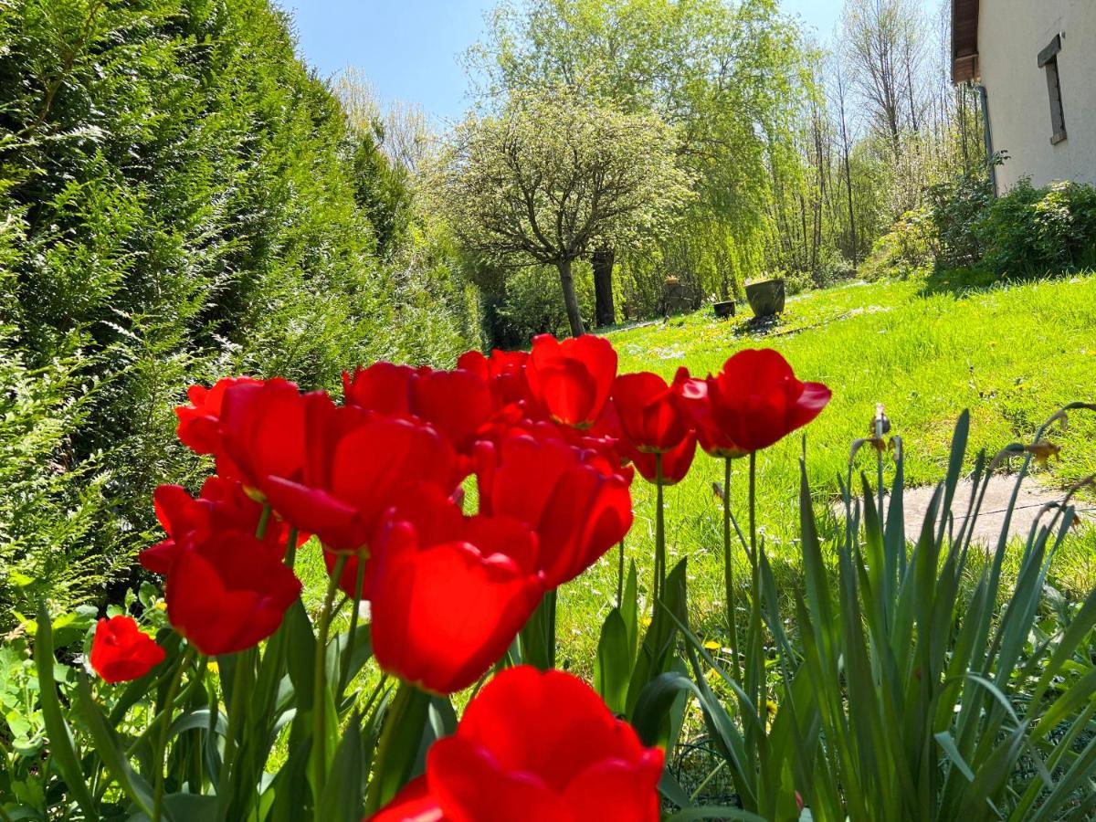 Gite De Vacances Jardin Monet Giverny Vernon Sainte-Genevieve-les-Gasny 외부 사진